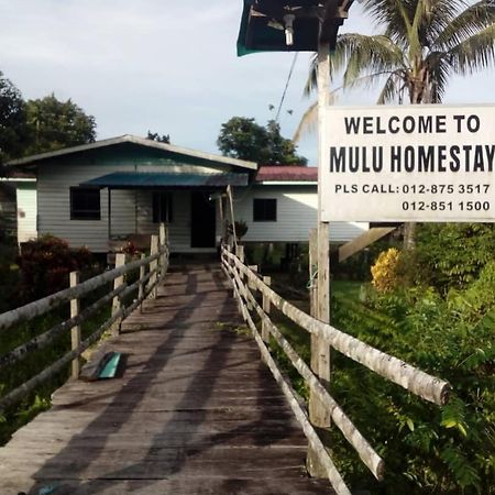 Mulu Homestay Exteriör bild