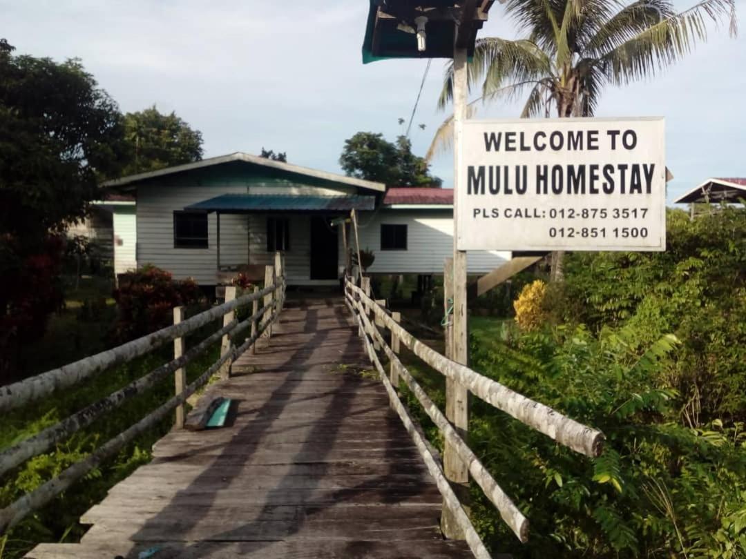 Mulu Homestay Exteriör bild