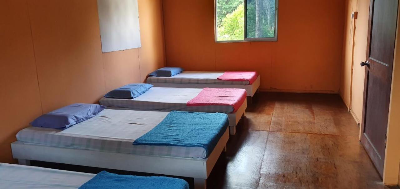 Mulu Homestay Exteriör bild
