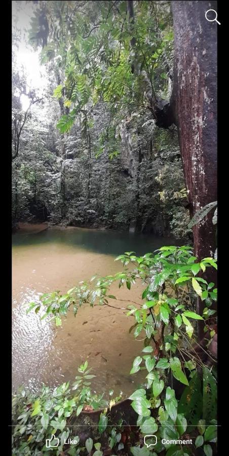 Mulu Homestay Exteriör bild