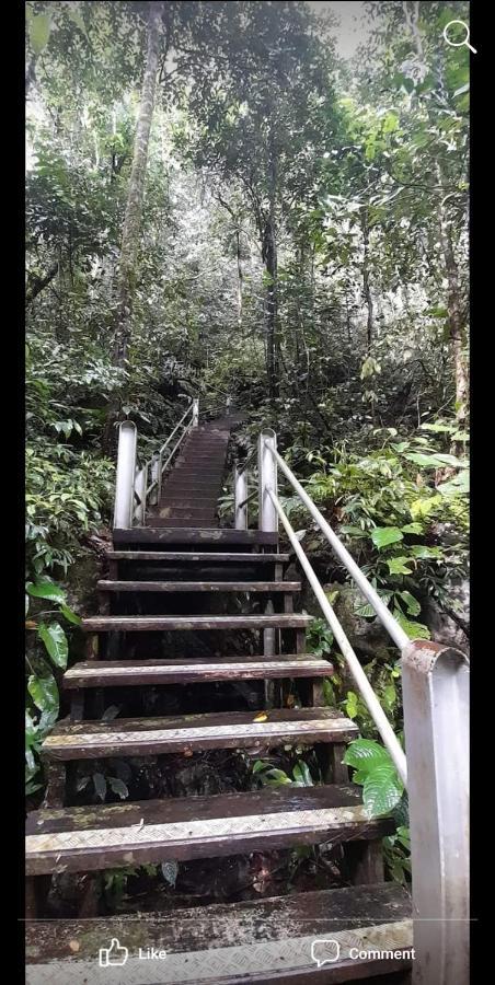 Mulu Homestay Exteriör bild